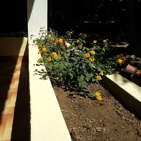 Holiday home Oleandri Holiday