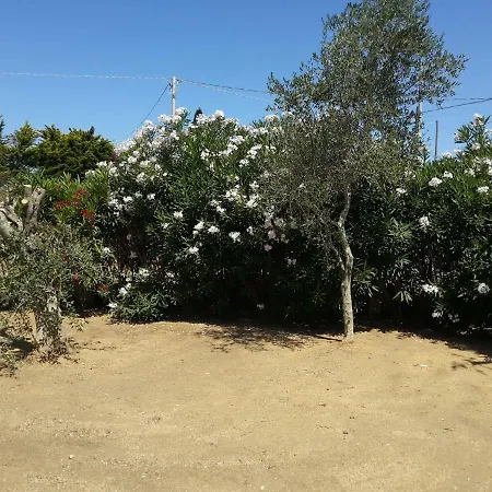 Holiday home Oleandri Holiday Pizzo (Salento)
