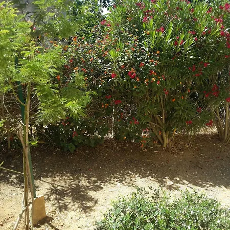 Oleandri Holiday Holiday home *