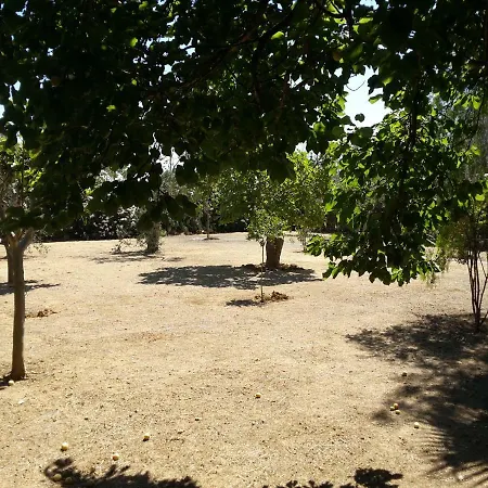Oleandri Holiday Holiday home *