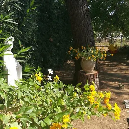 Oleandri Holiday Holiday home *